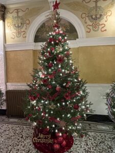 IMG_6859